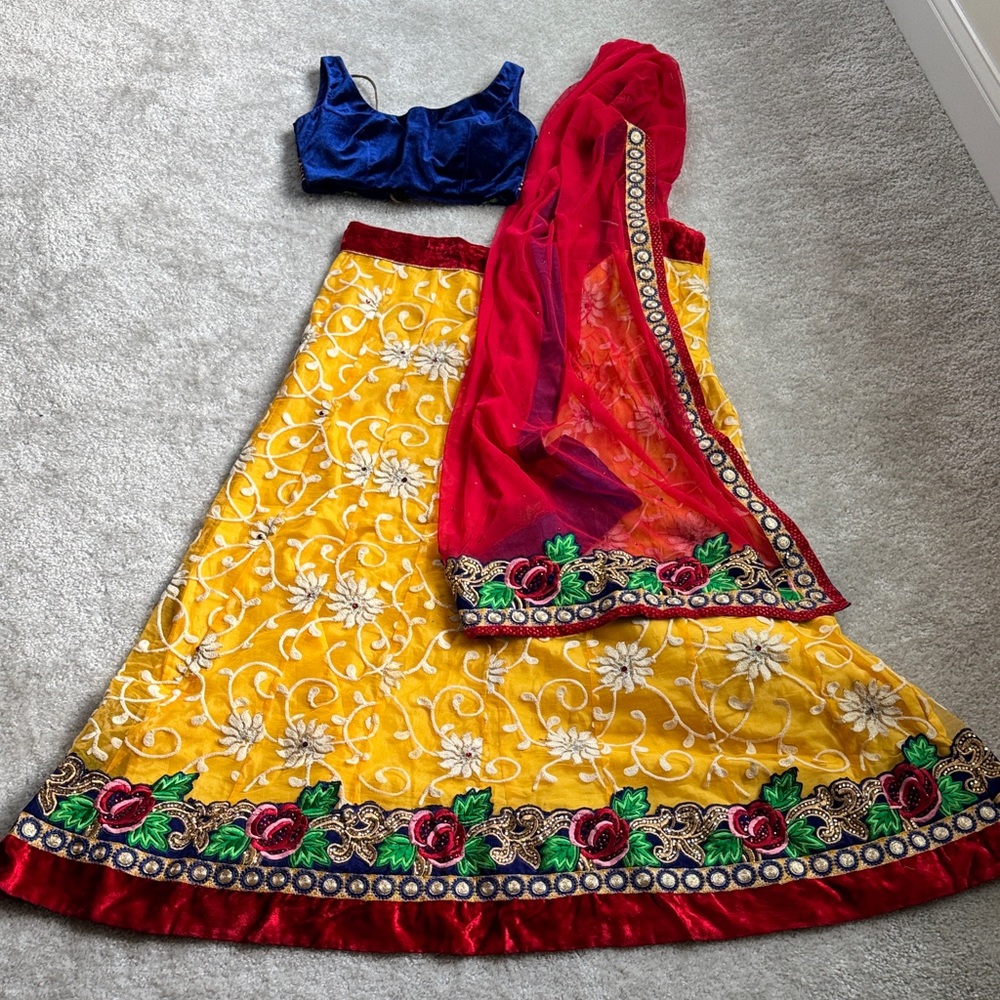 Embroidered lehenga - skirt top and dupatta